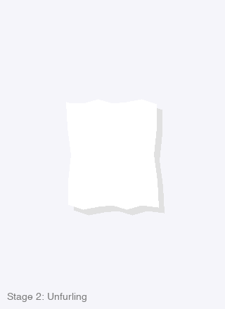 Stage 2: Unfurling